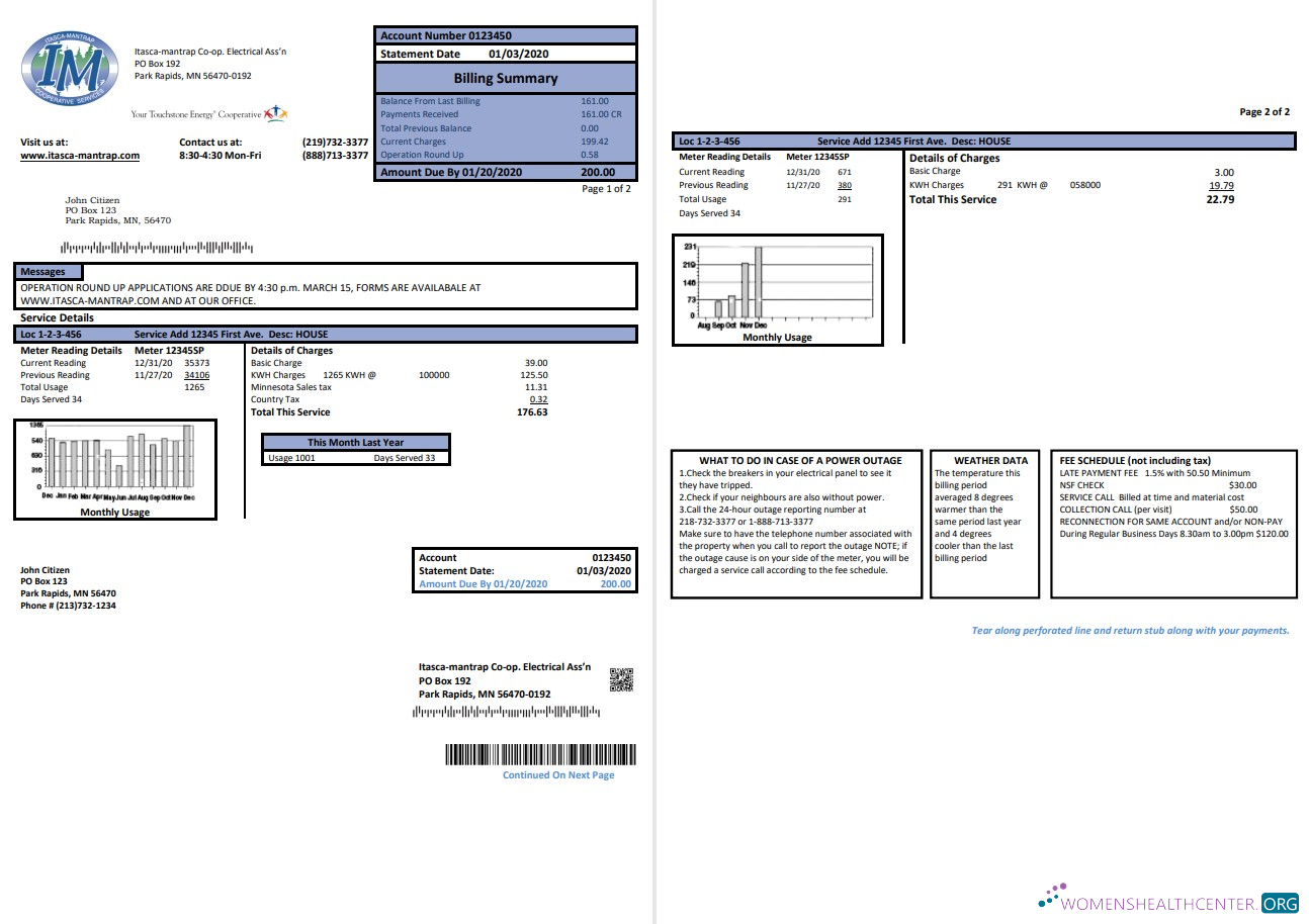 USA Minnesota Itasca Mantrap electricity utility bill template in Word and PDF format (2 pages)